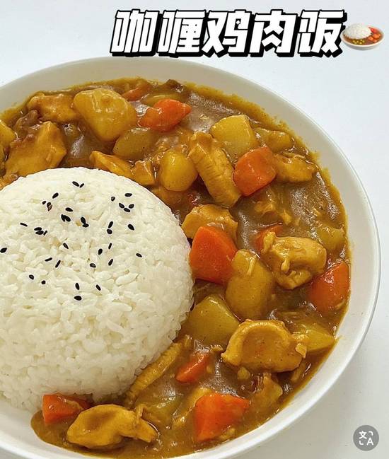 Curry Chicken with Rice and Vegetable (咖喱鸡肉饭)